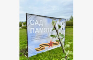 В рамках акции «Сад памяти» высадили 27 миллионов деревьев