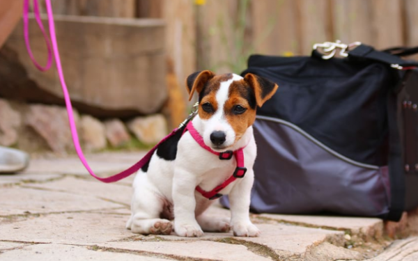 e57ed81aa9f49efd69d86207ada7f286