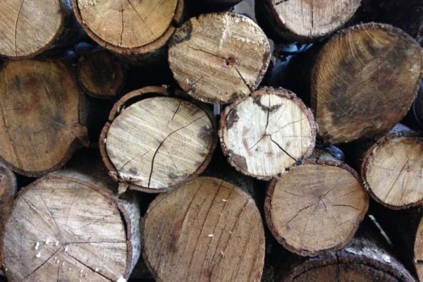 vlasti-moldovy-zapustili-onlajn-platformu-dlja-poiska-drov-2e161b8