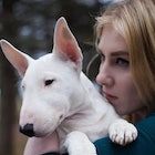 10 самых старых собак в мире &mdash; сколько лет собакам-долгожителям и их породы