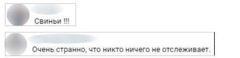 Петербуржцы обвинили Смольный в бездействии при появлении стихийной свалки на востоке города