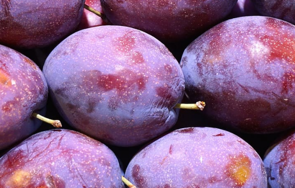 260bcc9cdb02df1331be455be31b9318