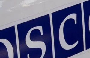 Глава VADAR выступил на Конференции Организации по безопасности и сотрудничеству в Европе