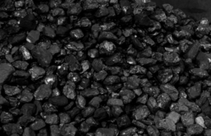 Индия может нарастить импорт угля из России