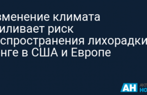 Изменение климата усиливает риск распространения лихорадки денге в США и Европе