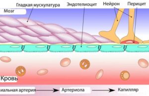 Кардиолог Анна Бирюкова назвала основные признаки тромбоза