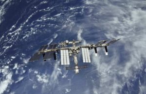 На МКС для экспериментов доставят оплодотворенные яйца перепелов