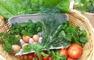 «О самом главном»: Бюджетные продукты могут заменить дорогие «суперфуды»