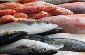 Посол в Осло Рамишвили заявил о пользе запрета на импорт рыбной продукции из Норвегии