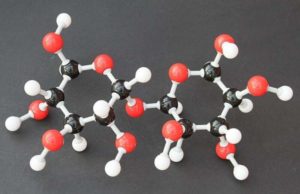 Учёные Genotek выявили этнические группы с непереносимостью «грибного сахара»