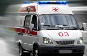 В Омской области собака чуть не отгрызла руку семилетнему мальчику