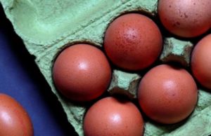 В Роспотребнадзоре призвали мыть куриные яйца перед употреблением