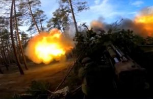 Специальная военная операция: главное за 16 ноября