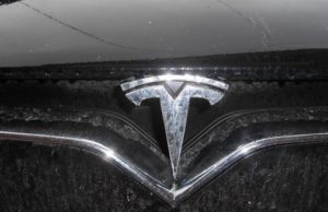 Завод Tesla в США подвергся нашествию постельных клопов