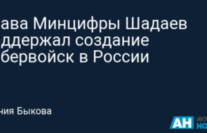 Глава Минцифры Шадаев поддержал создание кибервойск в России
