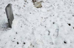На Военном кладбище в Таллине осквернили надгробия советских солдат