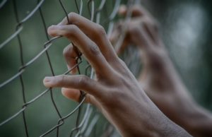 Суд приговорил участников преступной группы в Ставрополье к длительному лишению свободы