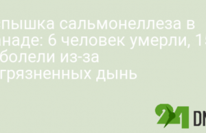 Вспышка сальмонеллеза в Канаде: 6 человек умерли, 153 заболели из-за загрязненных дынь