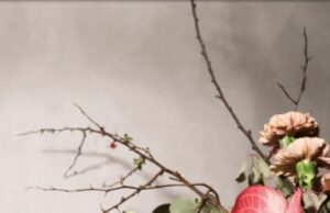 Международный женский день: где отметить праздник?