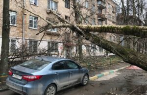 «ДТП с участием туалета»: каких бед натворил ураган в Москве и области