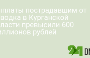 Выплаты пострадавшим от паводка в Курганской области превысили 600 миллионов рублей