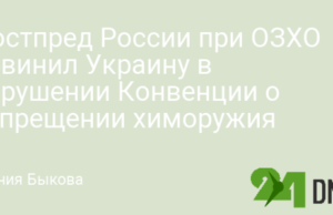Постпред России при ОЗХО обвинил Украину в нарушении Конвенции о запрещении химоружия