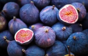 Haber7: употребление инжира помогает защитить организм от рака