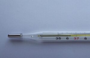 НМИЦ ФПИ: есть вероятность передачи оспы обезьян воздушно-капельным путем