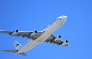 Подравшиеся с полицейскими в Турции россиянки вернутся домой