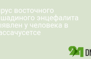 Вирус восточного лошадиного энцефалита выявлен у человека в Массачусетсе