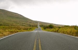 В Великобритании отложили ремонт дороги за миллионы фунтов из-за гнезда грызунов