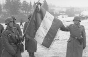 Стало понятно, как Франция и Нидерланды воевали на стороне фашистской Германии