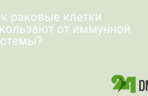 Как раковые клетки ускользают от иммунной системы?