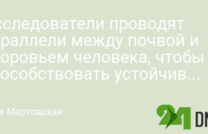Исследователи проводят параллели между почвой и здоровьем человека, чтобы способствовать устойчивому управлению земельными ресурсами