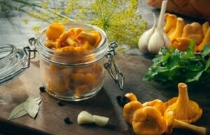 Маринованные лисички на зиму: 2 лучших рецепта с фото пошагового приготовления