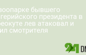 В зоопарке бывшего нигерийского президента в Абеокуте лев атаковал и убил смотрителя
