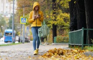 Специалист объяснил, где нужно убирать опавшую листву, а где — нет