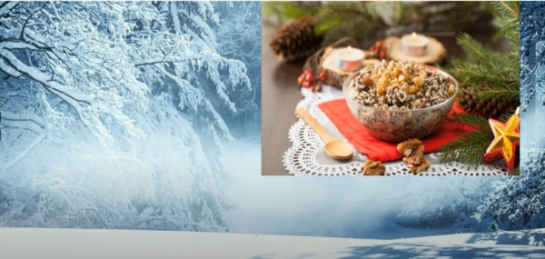 a12a307b757692ea7e3e113c8e40aa86