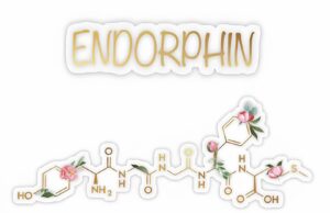 Ароматы к 14 февраля