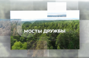 В Новосибирске создали цикл видеоуроков «Мосты дружбы»