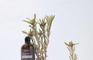 Мицеллярная вода от Botavikos