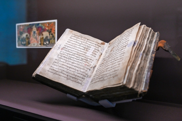 Участники экспедиции &laquo;Афанасий Никитин &mdash; 550&raquo; рассказали о находках в Индии