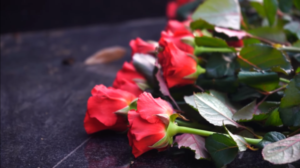 0860bc41f04f153f3aeae537117da750