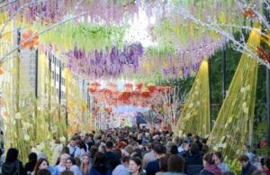 День города Новосибирска — 2025: дата, программа мероприятий, афиша, концерты, салют