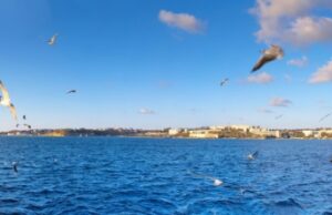 В Крыму рассказали о давлении на иностранцев, желающих посетить полуостров