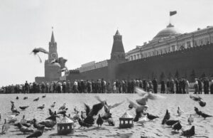 Стильно, модно, деревянно: в Москве появляются новые голубятни