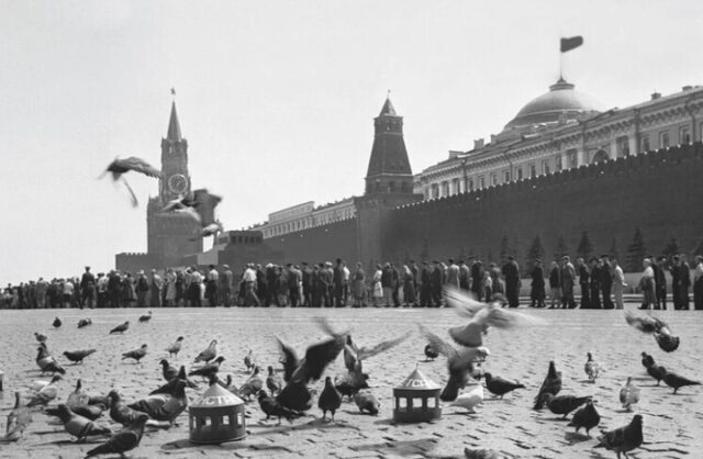 stilno-modno-derevjanno-v-moskve-pojavljajutsja-novye-golubjatni-cb94278