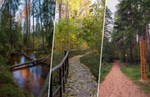 10 экотроп СПб и Ленинградской области: где находятся, маршруты на карте