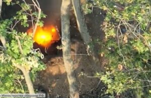 Специальная военная операция: главное за 23 июля