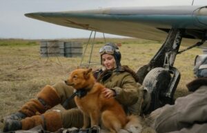 Российские фильмы о войне покажут на кинофестивале в Китае